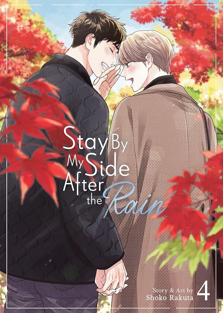 Stay By My Side After the Rain Vol. 4 cover image
