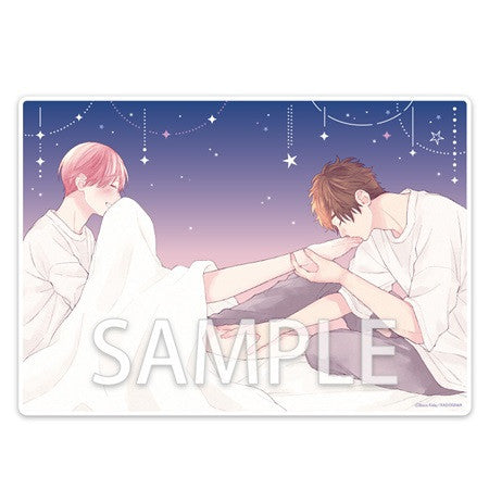 After We Gazed at the Starry Sky Acrylic Panel B