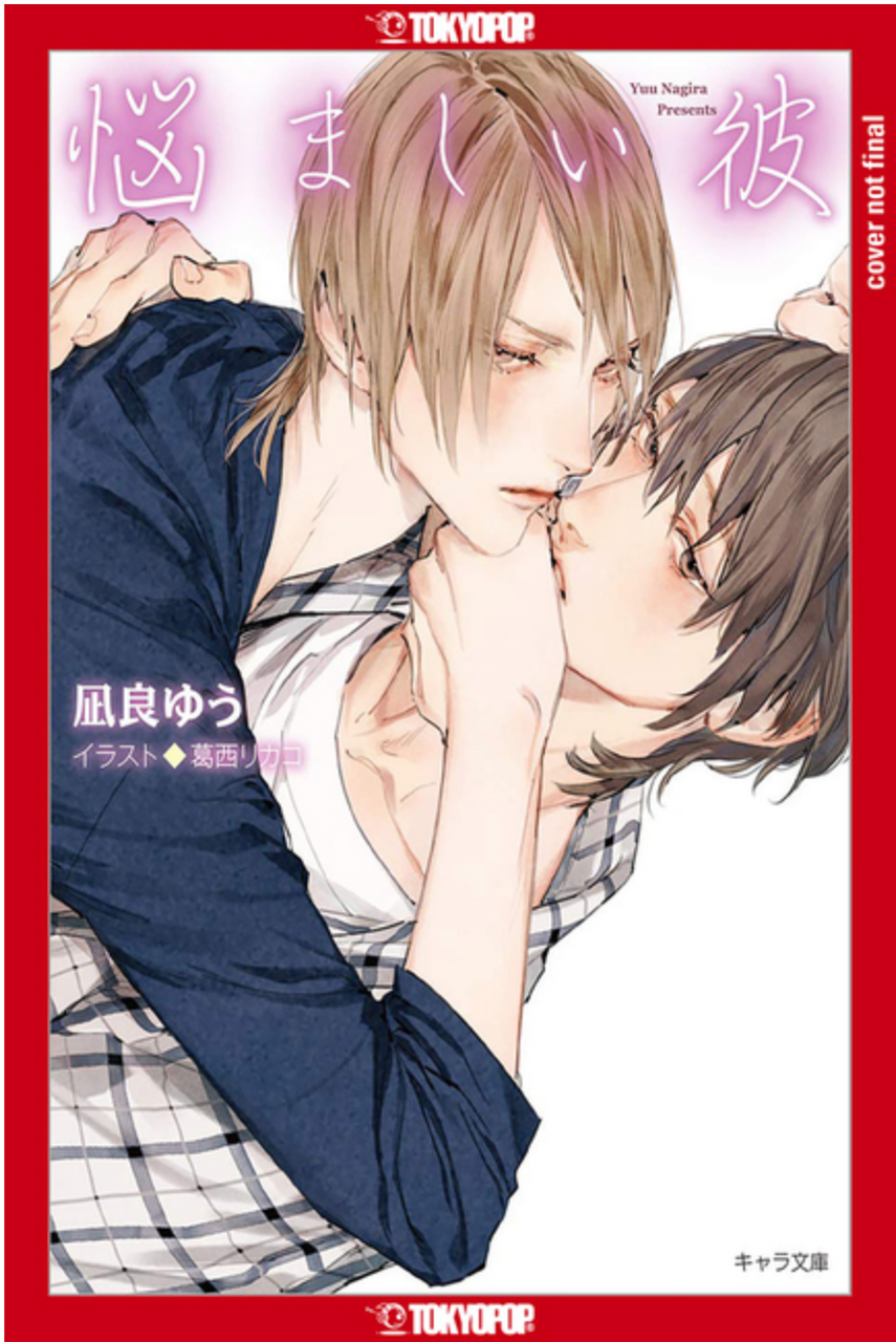 My Troublesome Man Vol. 3 (Light Novel)