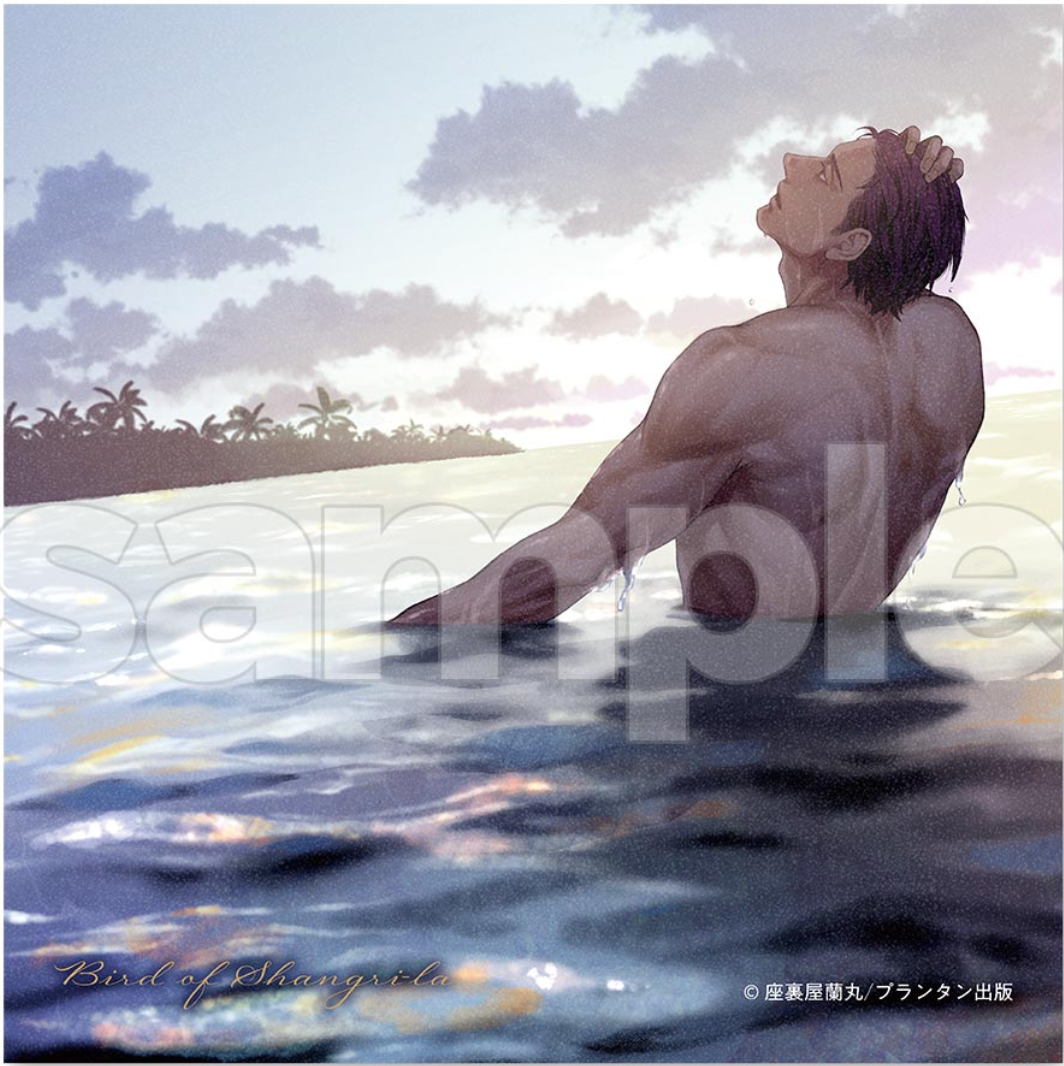 Birds of Shangri-la Microfiber Cloth (C-3)