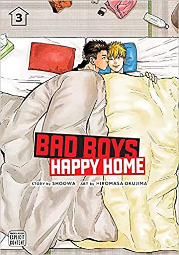 Bad Boys Happy Home Vol. 3 (18+)