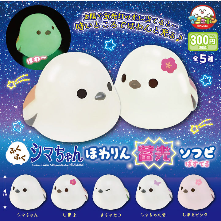 Gacha Capsules