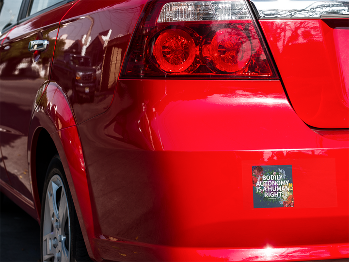 Bodily Autonomy is a Human Right Sticker | Feminist Stickers