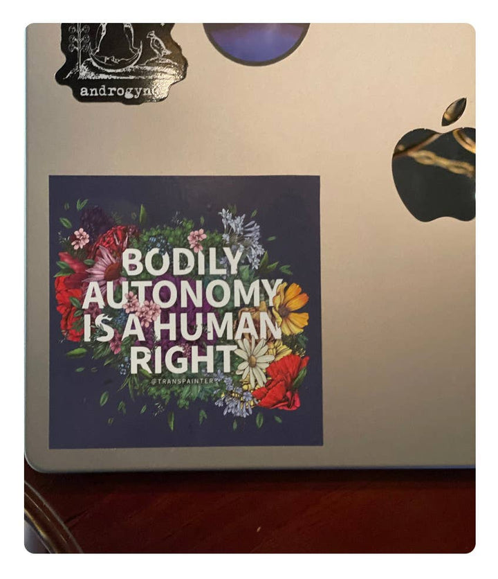 Bodily Autonomy is a Human Right Sticker | Feminist Stickers