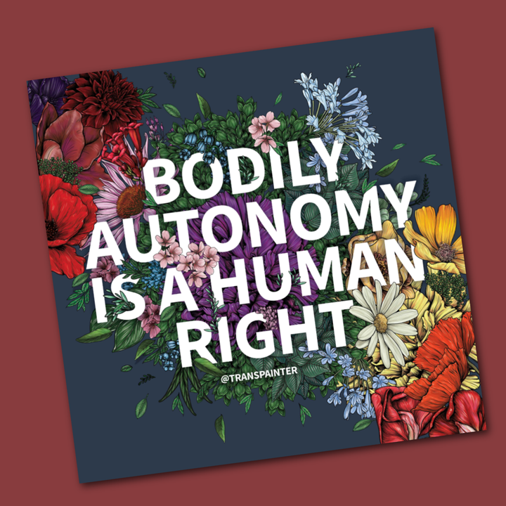 Bodily Autonomy is a Human Right Sticker | Feminist Stickers