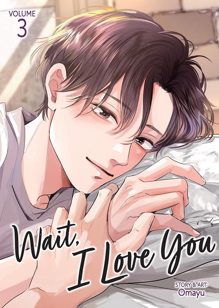 Wait, I Love You Vol. 3 cover image