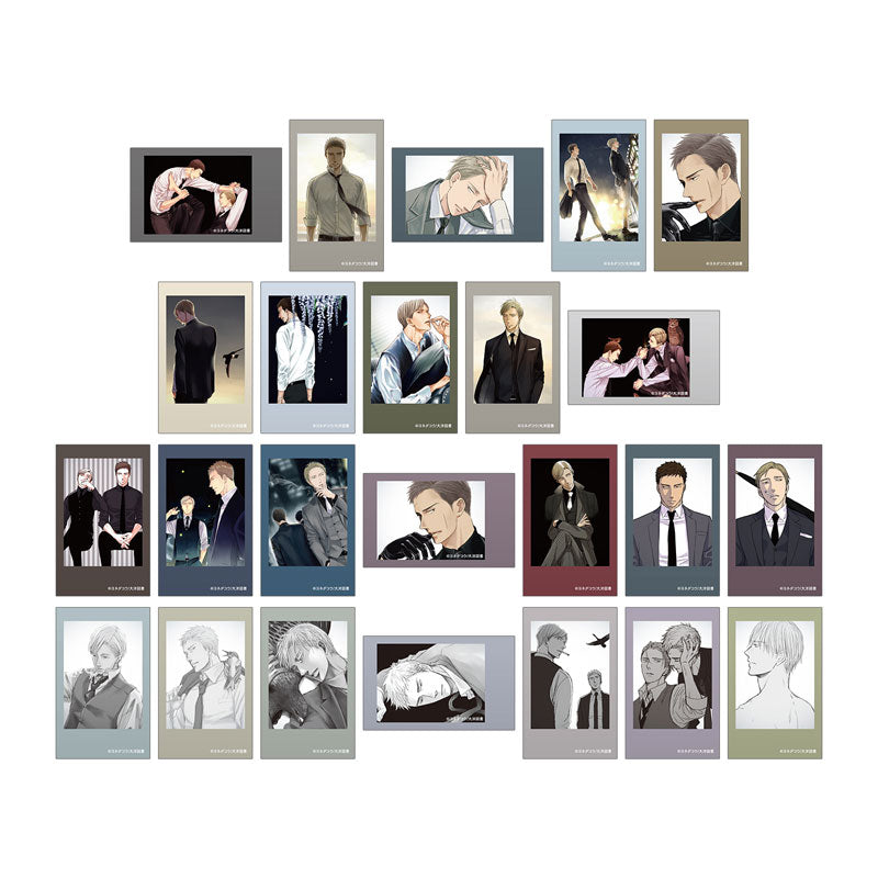 Twittering Birds Never Fly Trading Instant Camera Style Illustration Card 3 Set