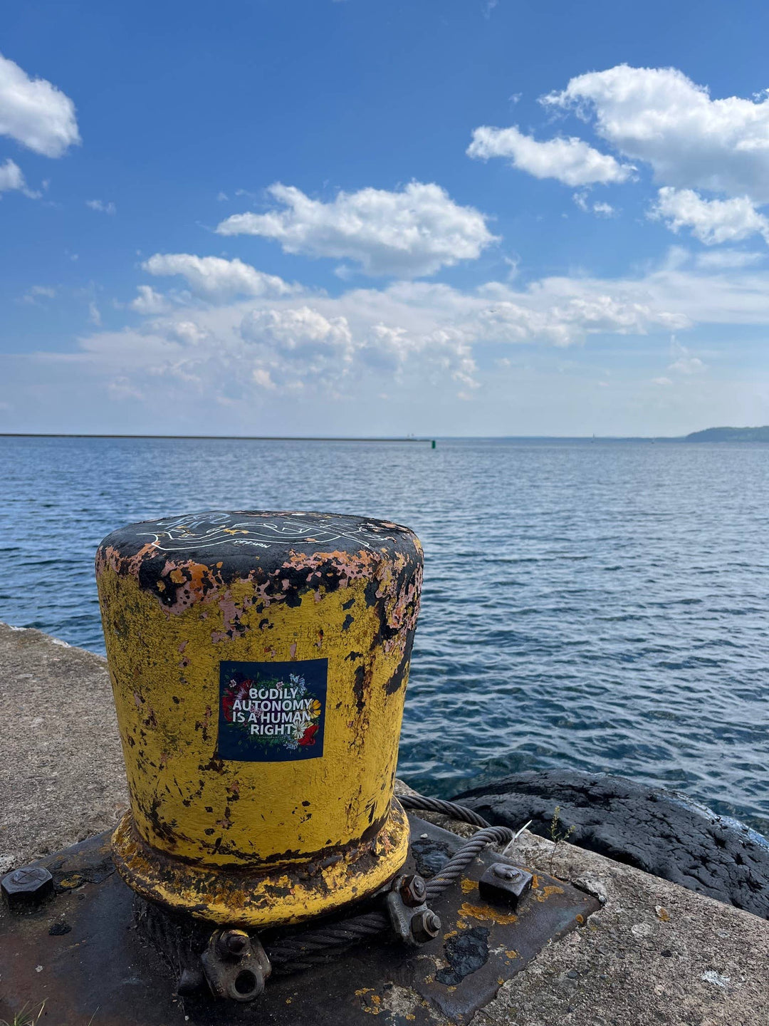 Bodily Autonomy is a Human Right Sticker | Feminist Stickers