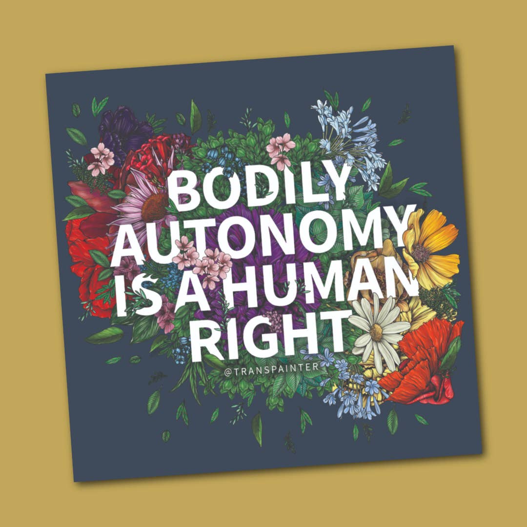 Bodily Autonomy is a Human Right Sticker | Feminist Stickers ...