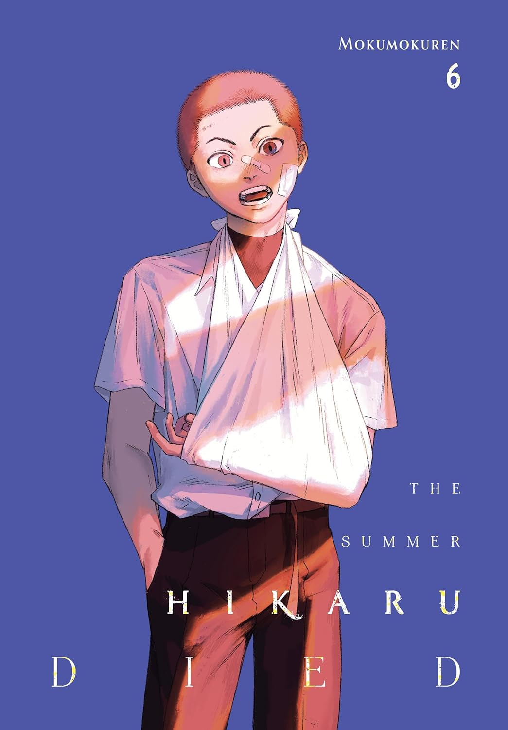 The Summer Hikaru Died Inspired Halloween Box