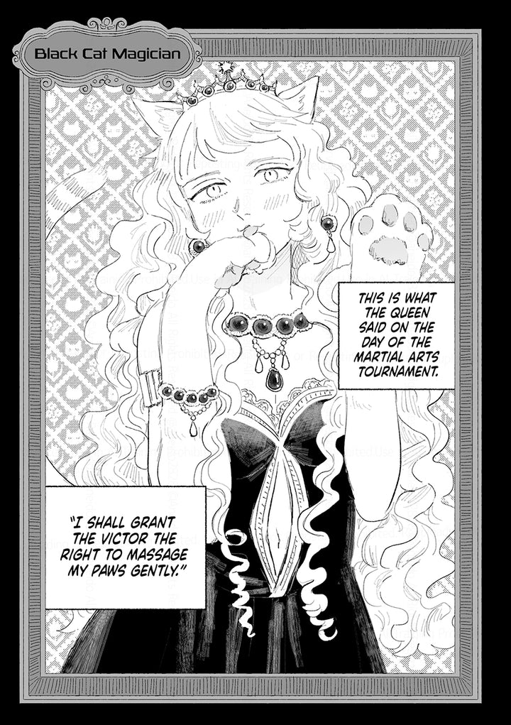 Aneido Anthology Box Set